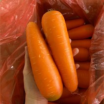 신선한 세척 당근 carrot 1box, 10kg, 1개