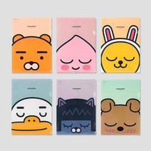 카카오프렌즈 KF L홀더 포켓화일, L홀더 네오