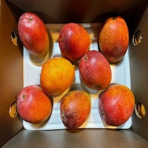 브로노아 협력업체 고당도 최상급 프리미엄 과일선물용 제주애플망고 제주망고 3kg 대 9과, 9개