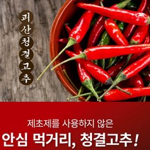 2023년 괴산청결햇 고춧가루 김장용/보통맛 500g, 김장용/보통맛500g/1근