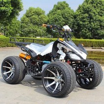4륜 오토바이 4발 다목적운반차 취미 지프 사륜바이크, 전기 패키지 2