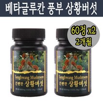 황금 자연산 야생 상황버섯 차 분말 베타글루칸 상목 미네랄 식이섬유 상황버섯 면역력 영양제 타블렛 60정 x 2통, 상황버섯 60정 x2통