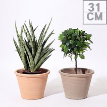 디그리아 폼페이 이태리 토분 31cm, 바소폼페이