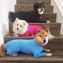 S 애견 중형견 대형견 올인원 실내복 내복 강아지 실내 시바견 리트리버 겨울옷 쫄쫄이 우주복 티셔츠, 검정