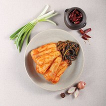 전통 국산 100프로 전라도 총각김치 당일제조 달랑무우김치 남도김치 달랑무, 100프로국내산총각김치5kg, 1개
