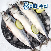 비비수산 국내산 자반고등어 간고등어 10마리 대사이즈(손질후 손당 600-660g), 1개