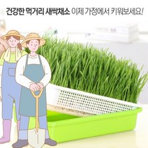 새싹 보리 재배기 고급형 1세트와 친환경 씨앗 500g, 재배기A 1매
