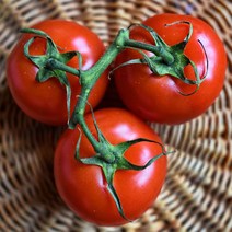 영양만점 완숙 찰 토마토 3kg 5kg 10kg, 01_대과 ( 1번 ~ 2번 ) 3kg, 1박스