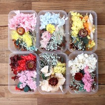 로맨틱노벰버 드라이/프리저브드플라워 DIY재료 믹스 랜덤박스, 드라이/프리저브드 믹스 랜덤박스