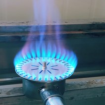 리치포유 간택기화구, LPG/LNG 공용, 간택기화구1구