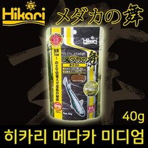 Hikari 히카리 메다카 미디엄(40g)/0.21~0.37mm/발색