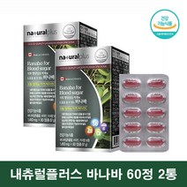 내츄럴플러스 바나바 리프 코로솔산 바나바잎 추출물 영양제 블러드슈가 혈당 케어 바나나잎추출물 2통, 2개