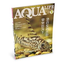 아쿠아라이프 2020년 10월호 [코리도라스란 무엇인가], 단품, 단품
