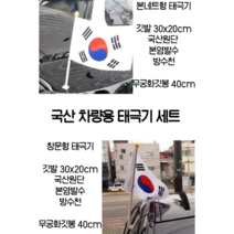 차량용 국산 태극기 깃발 창문형 본넷형 깃봉 자동차 행사용 방수천 제작 익스테리어 폴대, 차량용(창문형)