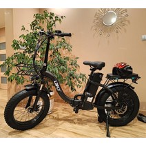 배달 전기자전거 .인치 접이식 전기 자전거 중립 해변 눈, 01 black, 02 500W Motors