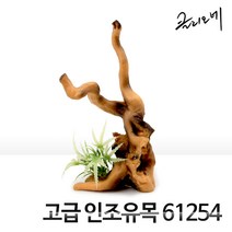 클리오네 고급 인조유목 61254 예쁜 어항 꾸미기 장식.헬로아쿠아