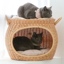 초록씨 고양이 강아지 라탄 하우스고양이집 강아지집 하우스>>쿠션하우스, 2.항아리 라탄 하우스” class=”wr-img”></a></div>
</div>
</div>
</div>
<div class=