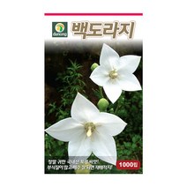 다농 백도라지 씨앗 1000립