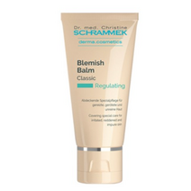 슈라멕 블레미쉬밤 비비크림 40ml, 라이트, 2개