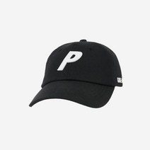팔라스 고어텍스 플레이드 P 6-패널 캡 블랙 - 22FW Palace Gore-Tex Plaid P 6-Panel Black - 22FW