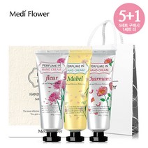 [5+1덤증정]메디플라워 퍼퓸 인 핸드크림 3종세트+쇼핑백, 쇼핑백만