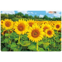 기억나 퍼즐 해바라기, 1개
