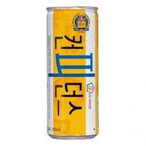동아오츠카 컨피던스 250ml x 30캔입, 1, 1