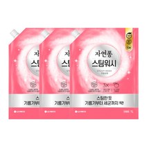 자연퐁 스팀워시 주방세제 애플향 1L, 3개