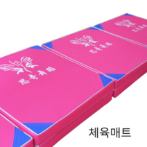 튼튼한 체육매트 고경도 스포츠 태권도 착지 운동, 이중 옥스포드 100*50*5cm블루