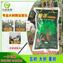 식물살충제 관리제 깍지 식물영양제 프 페셔널 식물 영양제 링거액 생근제 범용형, 03 트리트먼트 침(페취 1000ml)
