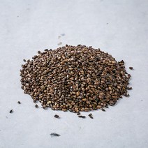 봉래종합약초 구수한 향 결명자 100g/한방/건강/약초/약재 식품 > 커피/차 티/전통차 기타전통차 기타전통차류, 100g, 1, 100g” class=”wr-img”></a></div>
</p></div>
</p></div>
</p></div>
<div class=