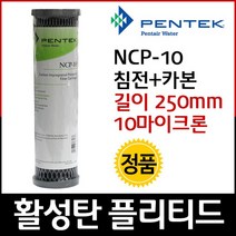 펜텍 NCP-10 카본 플리티드 필터 250mm 10um, 단품