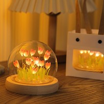 꽃무드등 무드등 수유등 특이한무드등 diy 모조 꽃다발 야생화 튤립 무드등, 핑크 diy 재료 가방 10송이 꽃 선물 봉투
