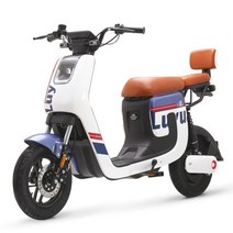 NFC 잠금 해제 Lvyuan 48v24a 리튬 전기 자전거 K5 남녀 배터리 수명으로 운송 자동차 픽업, 爵士蓝, 48V, 24Ah, 재즈 블루