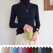 데일리앤 플즈 여성 터틀넥 골지 슬림핏 니트