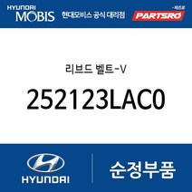 리브드 벨트-V (252123LAC0) 그랜저IG 페이스리프트 팰리세이드 더 뉴 팰리세이드