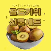 애나팩토리 [ 추석선물 ] 키위선물세트 골드키위 키위 제스프리 당도보장, 골드키위 선물세트 9과