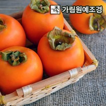 감나무 5종 가림원예조경, 차량단감 접목1년특묘(2개세트)