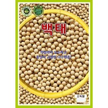 백태콩 메주콩 콩씨앗 30g