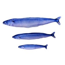 캣닢 묘생템 고양이 꽁치 장난감40cm 캣닢쿠션, 1개