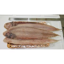[목포특산] 제찬/이바지 반건조 서대(용서대) 굴비(대~특대) 위생건조, 특대(50cm이상) 2미