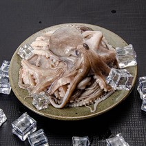 태안산지출고 활 쭈꾸미1Kg