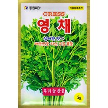 동원 영채씨앗 5g, 단품