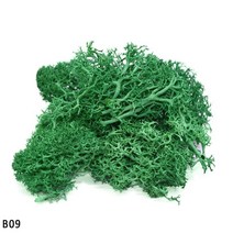 인공 이끼 정원 조화 - 자연 식물 영원한 생명 미니 조경 액세서리 홈 꽃 공예, 40g, b09