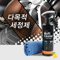 액체스프레이 내외장재 기름때 얼룩 다용도크리너, 선택옵션:다용도크리너