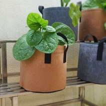 부직포 화분 베란다 텃밭 식물 재배 5갤런30x25 집 꽃 대파 키우기 미니화분, 브라운