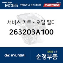 서비스 키트-오일 필터 (263203A100) 베라크루즈 현대모비스부품몰