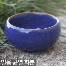 얼음 균열 도자기 선인장 화분 - 미니 다육이 다육 자기 책상 사무실 아이방 거실 인테리어, 08_Sein_얼음균열화분-진파랑A