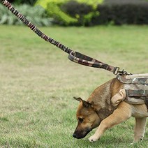 도매창고 애견 전술리드줄 훈련용 밀리터리 목줄 산책줄 산책끈, 애견 전술리드줄-밀리터리카키