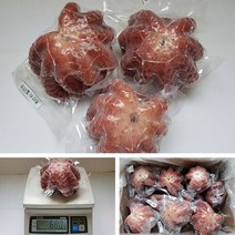 화남 냉동 자숙 문어(필리핀) 10kg 10/12/15미 업소 식당 도매 문어 숙회 박스, 자숙문어10kg(10미)
